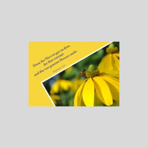 Postkarte mit Klagelieder 3, 25