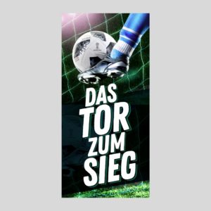 FB  Das Tor zum Sieg