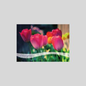 Faltkarte Ostergrüße Tulpen