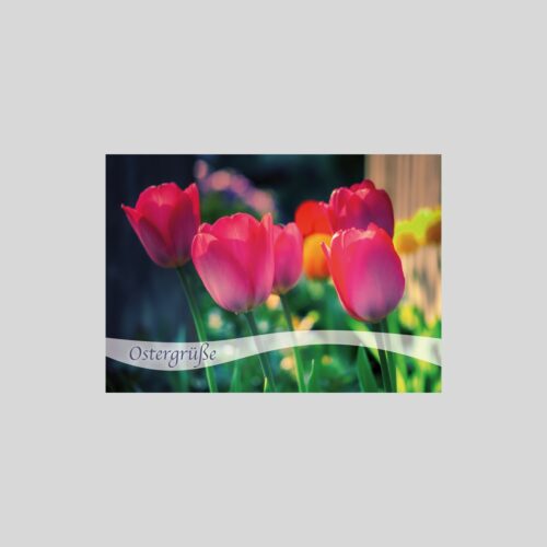 Faltkarte Ostergrüße Tulpen