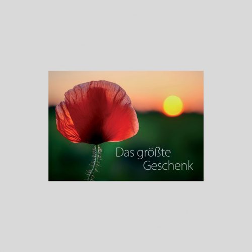 Das grösste Geschenk