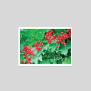 Postkarte mit roten Beeren