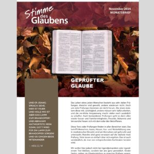 Monatsbrief November 2024