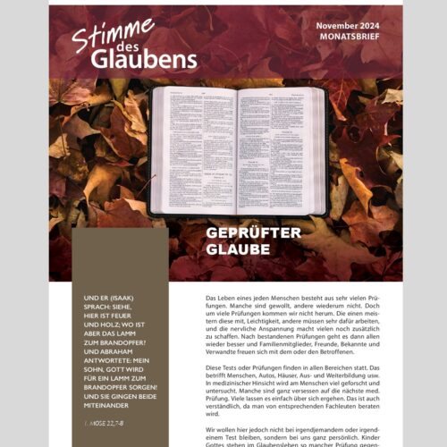 Monatsbrief November 2024